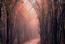 华体会：央视直播！国乒蒯遭遇张本美和 钱天一有恶战 陈幸同面临死亡之组！女单签表.