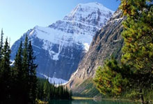 匡琦带队艰难杀进全运会正赛！北京女排队长金烨官宣姐弟恋.