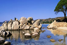 意甲：博洛尼亚以1比0 击退菲奥伦蒂那.